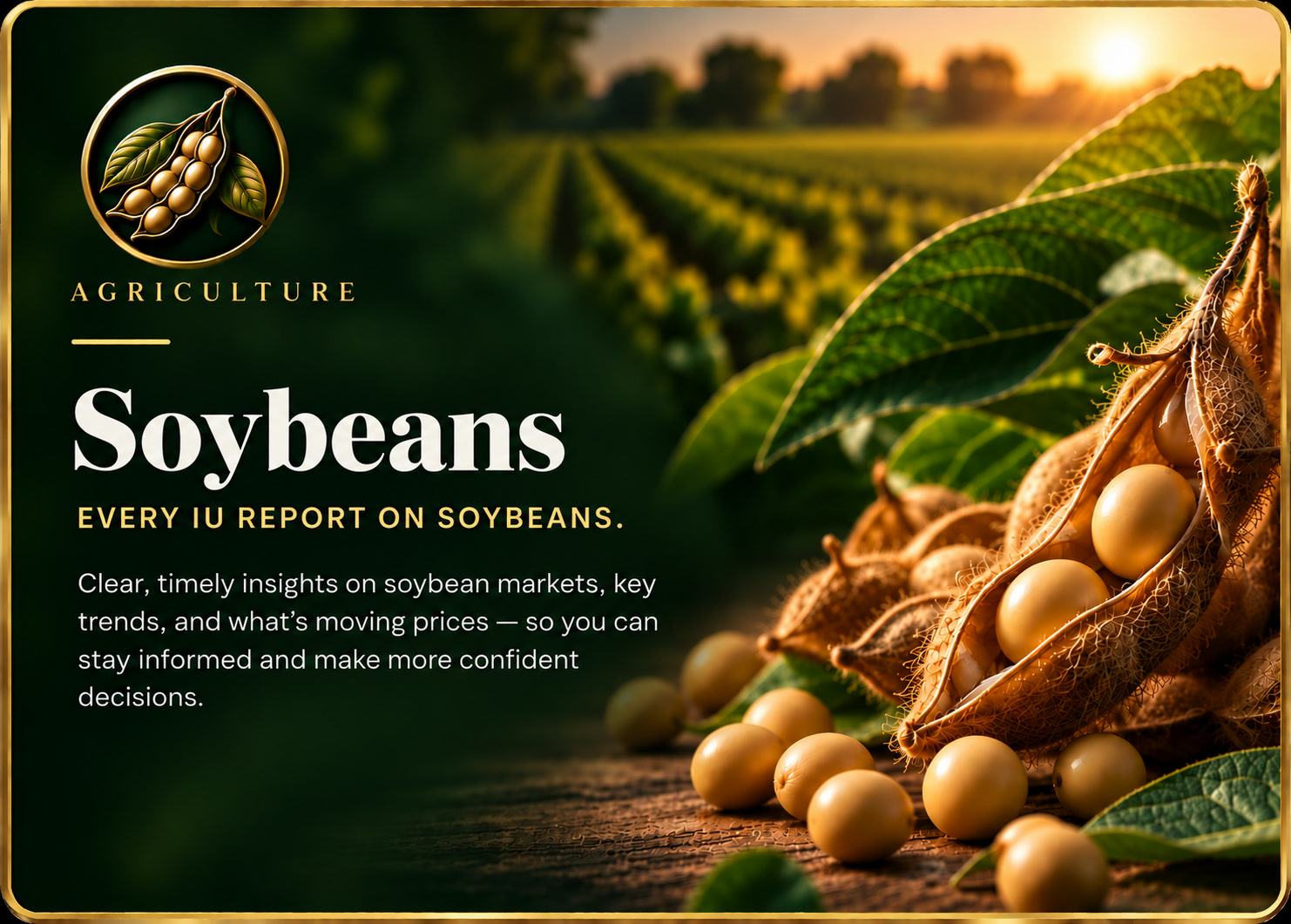 Soybeans — Agriculture. Every IU report on soybeans. Clear, timely insights on soybean markets, key trends, and what's moving prices — so you can stay informed and make more confident decisions.